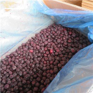Frozen Blueberry Wild